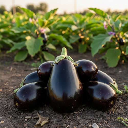 Баклажан Подвески купить